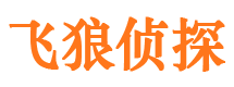 西华外遇调查取证